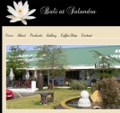 CMS website designed for Bali Salandra - http://www.balisalandra.co.za